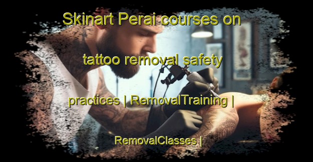Skinart Perai courses on tattoo removal safety practices | RemovalTraining | RemovalClasses | SkinartTraining-Gambia